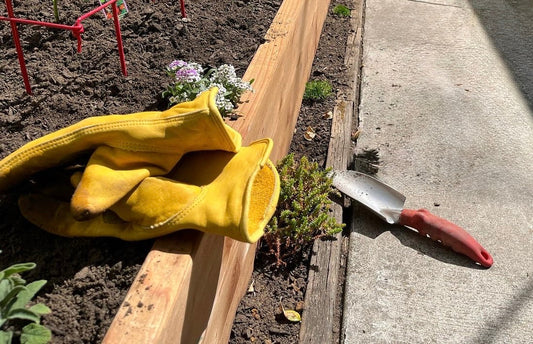 Start Here: Sun, Soil, and Water