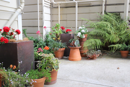 Small & Shared Space Gardening