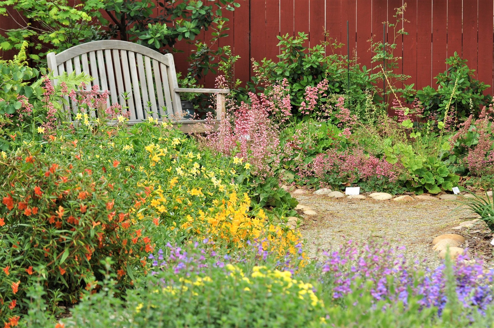 Image courtesy California Native Plant Society CC BY 2.0