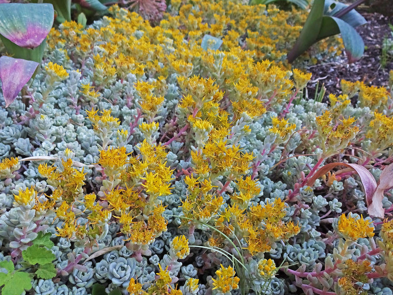 "2016.06.21_19.35.04_DSC05012" by AndreyZharkikh is licensed under CC BY 2.0. To view a copy of this license, visit https://creativecommons.org/licenses/by/2.0/?ref=openverse.
