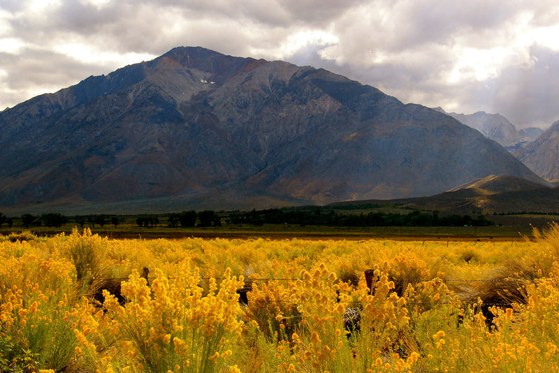 "Eastern Sierras mountains" by daveynin is licensed under CC BY 2.0. To view a copy of this license, visit https://creativecommons.org/licenses/by/2.0/?ref=openverse.