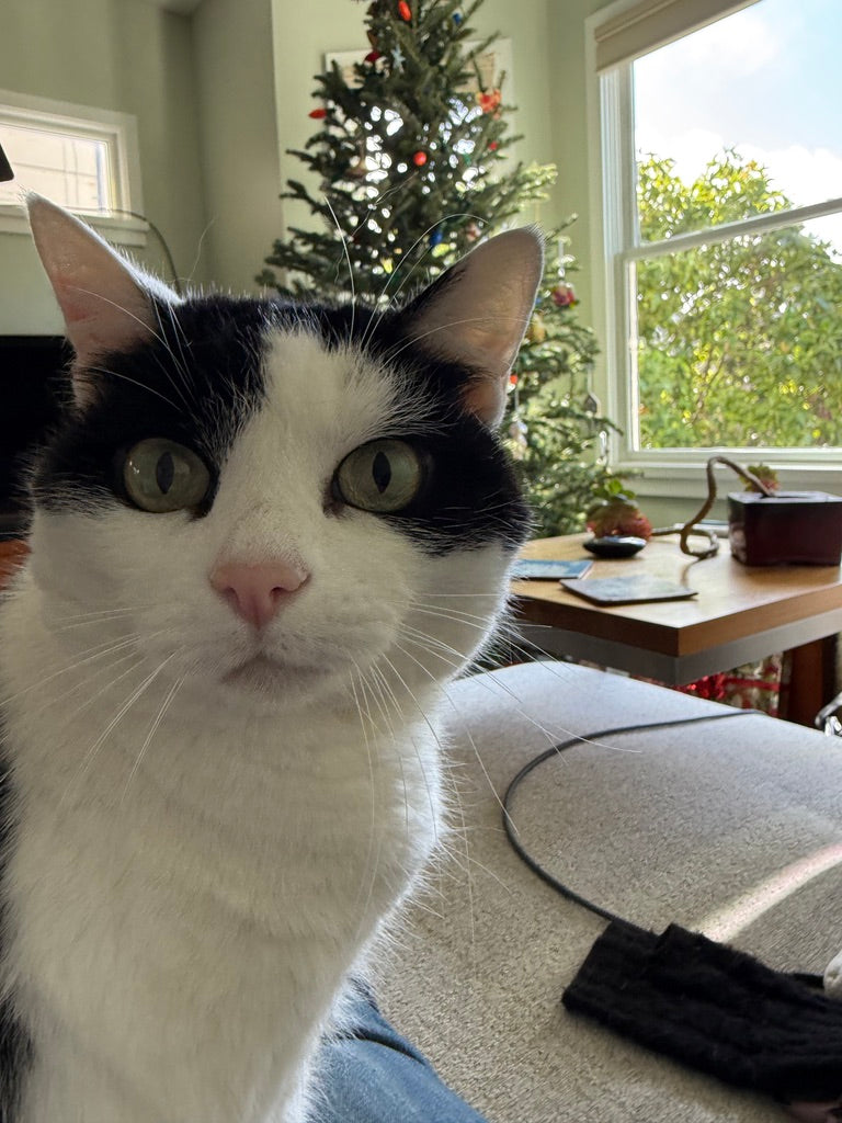 Image with text section