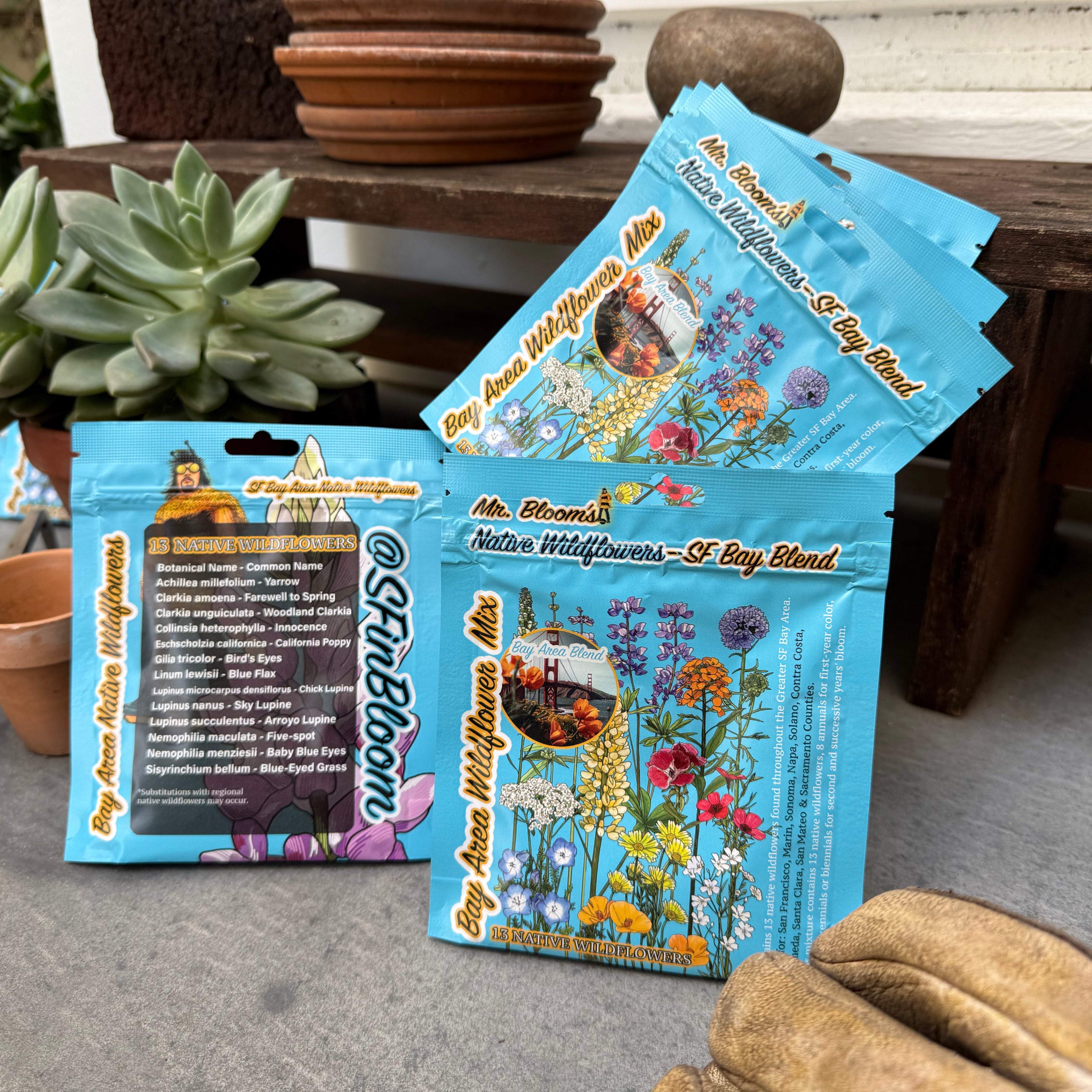 San Francisco Bay Area Native Wildflower Seed Mix | 13 Species – The ...