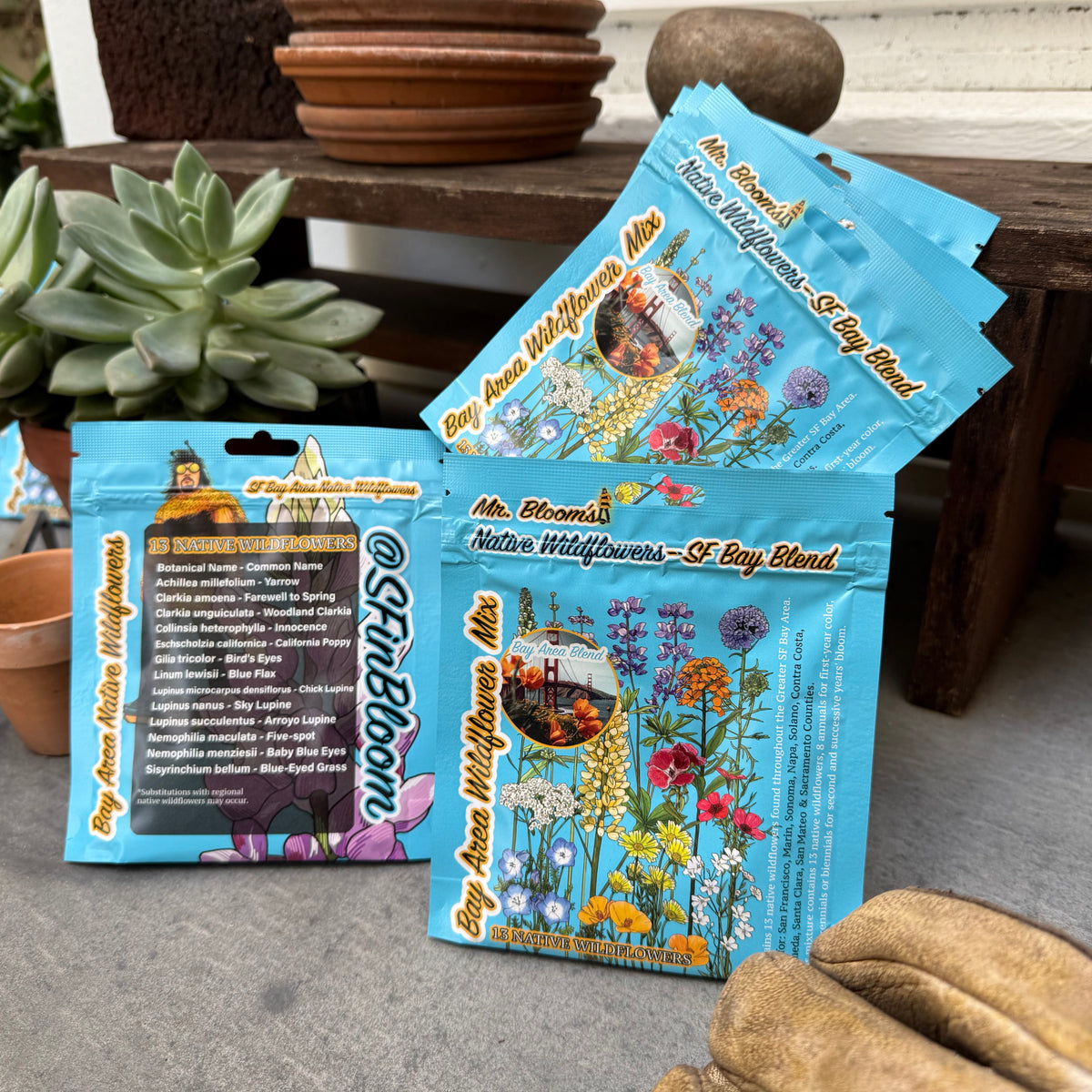 SF Bay Blend Wildflower Mix