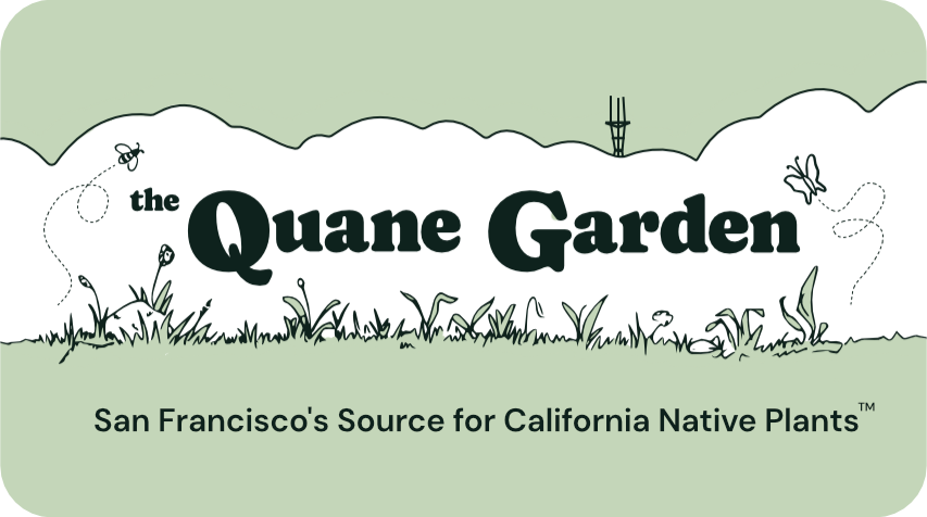 The Quane Garden Gift Card