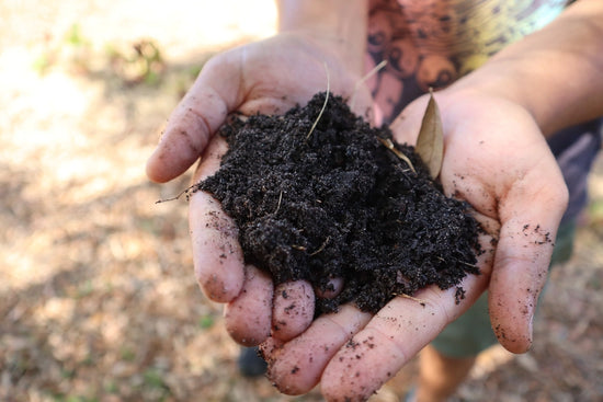 "Farmer holding healthy soil" by U.S. Department of Agriculture is marked with CC0 1.0. To view the terms, visit https://creativecommons.org/publicdomain/zero/1.0/?ref=openverse.