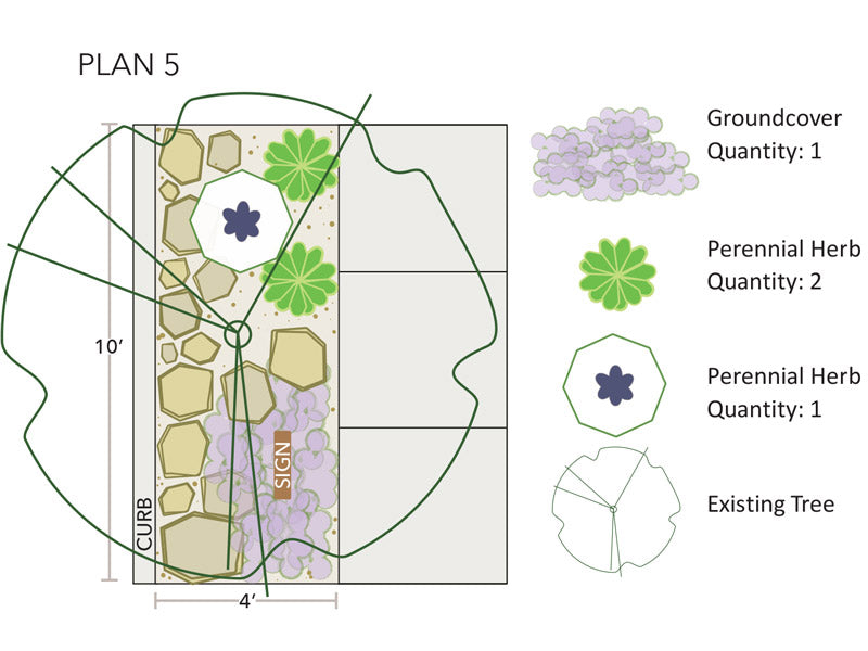 Image with text section